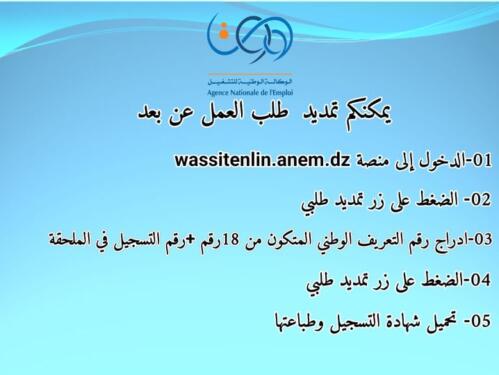 wassitonline.anem.dz تمديد طلب العمل انام 2