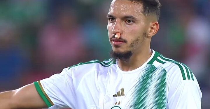 Résumé du match entre l'Algérie et le Nigeria 2-1 - Buts de l'Algérie 1