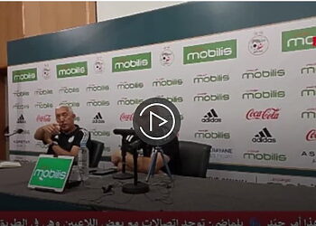 Le fils de Belmadi rêve-t-il de rejoindre les Verts ? 14