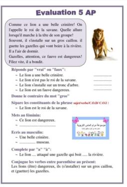 evaluation de français 5ème année primaire 1