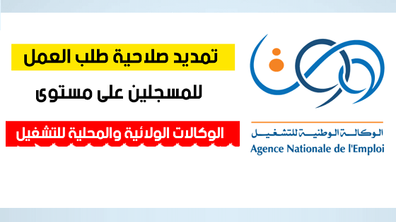 تجديد بطاقة طلب العمل من الأنترنت 2026 wassitonline anem dz