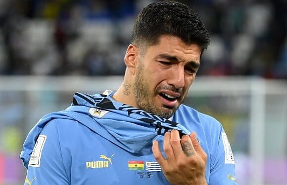 Mondial 2022: la Corée du Sud rejoint le Portugal en 8es de finale, l'Uruguay éliminé 1