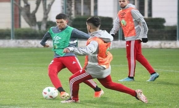 Algérie-Niger: l'EN retrouve le chemin des entraînements 1