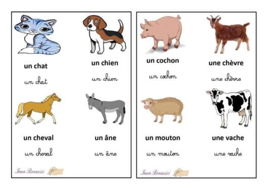 Les animaux domestiques. 3AP. S1 À la ferme. 7