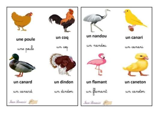 Les animaux domestiques. 3AP. S1 À la ferme. 6