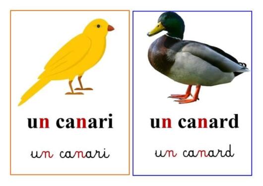 Les animaux domestiques. 3AP. S1 À la ferme. 2