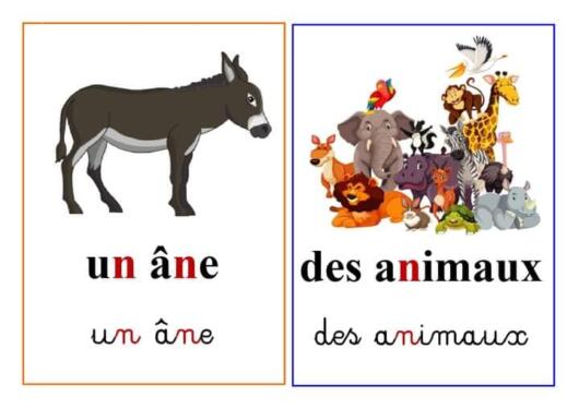 Les animaux domestiques. 3AP. S1 À la ferme. 1