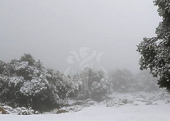 Météo Algérie : Des chutes de neige prévues samedi sur les reliefs du Centre-Est et de l'Est 6