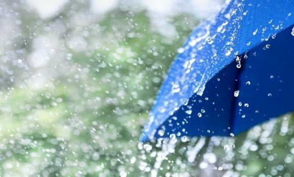 Météo Algérie : des pluies orageuses sur plusieurs wilayas de l'Est à partir de ce lundi 1