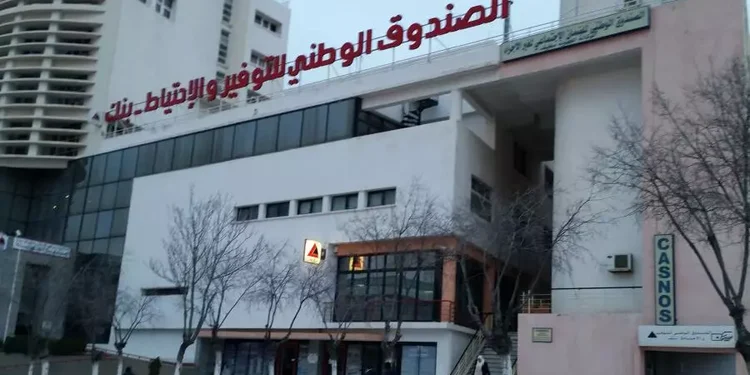 المنصة الرقمية الجديدة CNEP Market 1