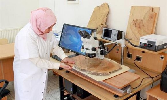 الموسم الجامعي 2023-2024: تعزيز التكوين في ميدان العلوم والتكنولوجيا 1