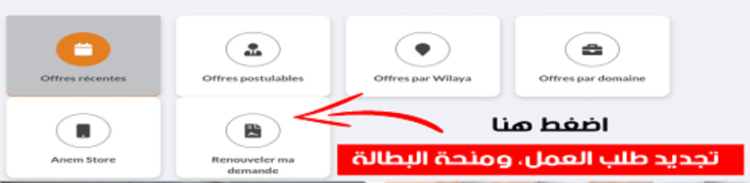تجديد منحة البطالة 2025 هنا wassitonline.anem.dz 1