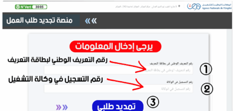 تجديد منحة البطالة 2025 هنا wassitonline.anem.dz 2