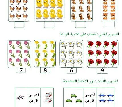 ورقة عمل : الاعدادمن 6 الى 9 للسنة الاولى ابتدائي 1