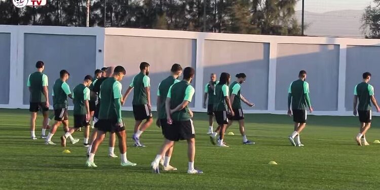 vidéo : l’entraînement de nos Verts à la veille de la rencontre face à la Somalie 1