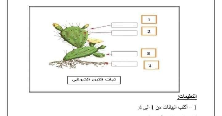 موضوع فرض في مادة العلوم الطبيعية والحياة فصل ثاني لسنة الثانية متوسط مرفقة بالحل 1