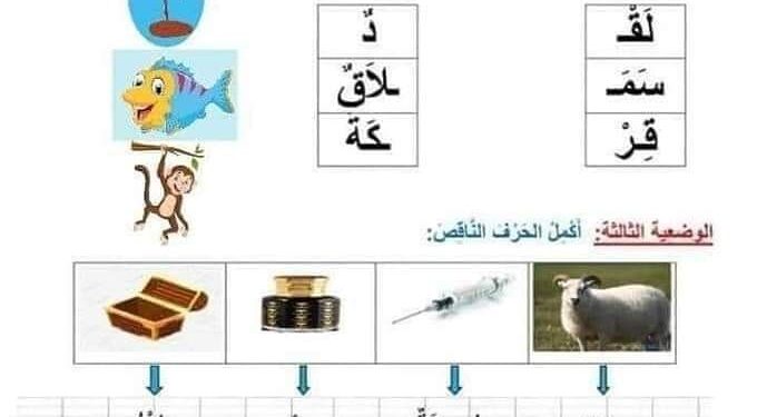 تلاميذ الأولى ابتدائي نماذج اختبار الفصل الثاني 1