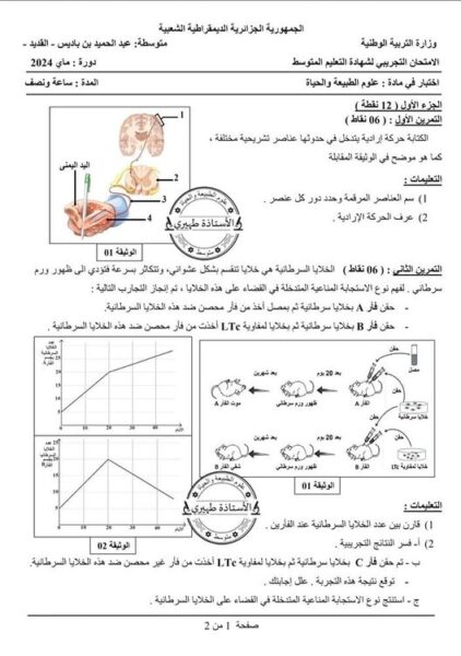 امتحان شهادة التعليم المتوسط: اختبار تجريبي مرفق بالحل في مادة العلوم الطبيعية