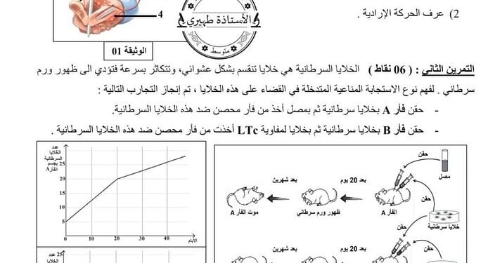 امتحان شهادة التعليم المتوسط: اختبار تجريبي مرفق بالحل في مادة العلوم الطبيعية 1