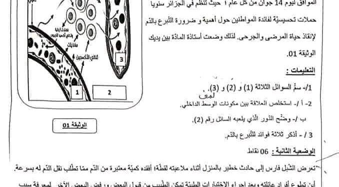 bem 2024 الامتحان التجريبي لمدارس أشبال الأمة +مرفق بالحل في مادة علوم الطبيعية و الحياة 1