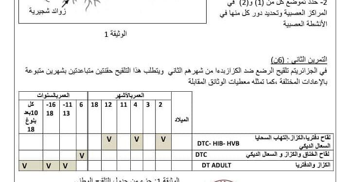 التحضير لامتحان شهادة التعليم المتوسط: اختبار تجريبي مرفق بالحل في مادة العلوم الطبيعية 1