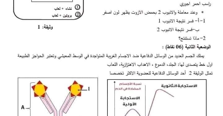 شهادة التعليم المتوسط : اختبار تجريبي مرفق بالحل في مادة العلوم الطبيعية 1