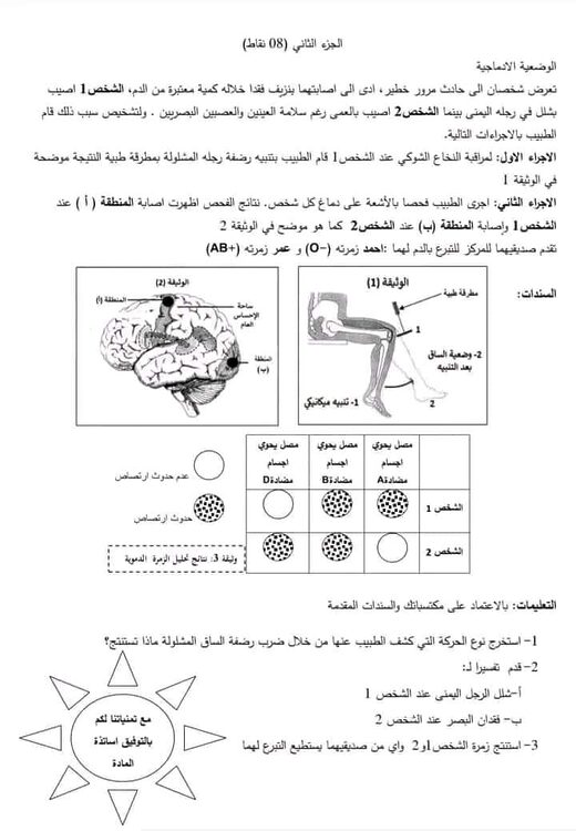 شهادة التعليم المتوسط : اختبار تجريبي مرفق بالحل في مادة العلوم الطبيعية 3