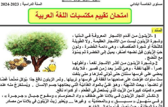 تحميل امتحانات تقييم المكتسبات للسنة الخامسة ابتدائي جميع المواد 1
