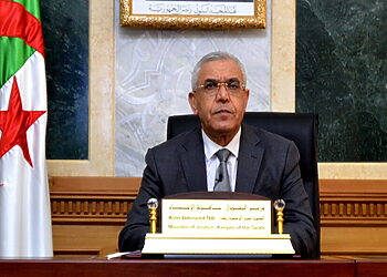 الحكومة تنشر التعديلات الأخيرة على قانون العقوبات في الجريدة الرسمية 3