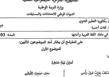 موضوع اللغة العربية بكالوريا 2024 شعبة لغات أجنبية 13