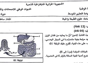 تصحيح موضوع العلوم الطبيعية شهادة التعليم المتوسط 2024 3