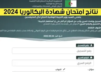 bac onec dz هنا نتائج البكالوريا 2024 في الجزائر - Résultats BAC 2024 en Algérie 2