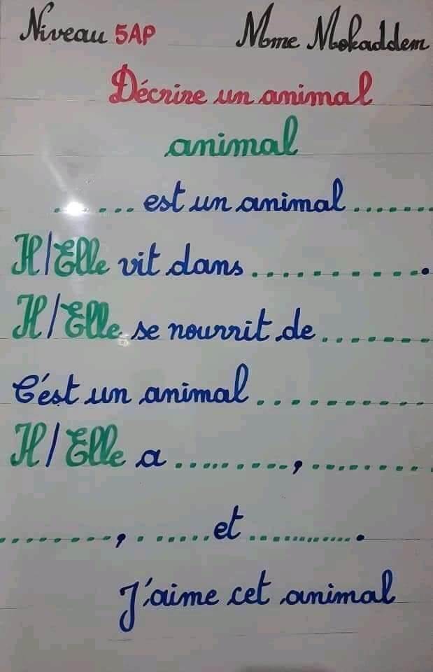 production_écrite décrire_un_animal وصف حيوان La gazelle, le cheval, le chien, l'éléphant, la girafe, le chameau, le l 2