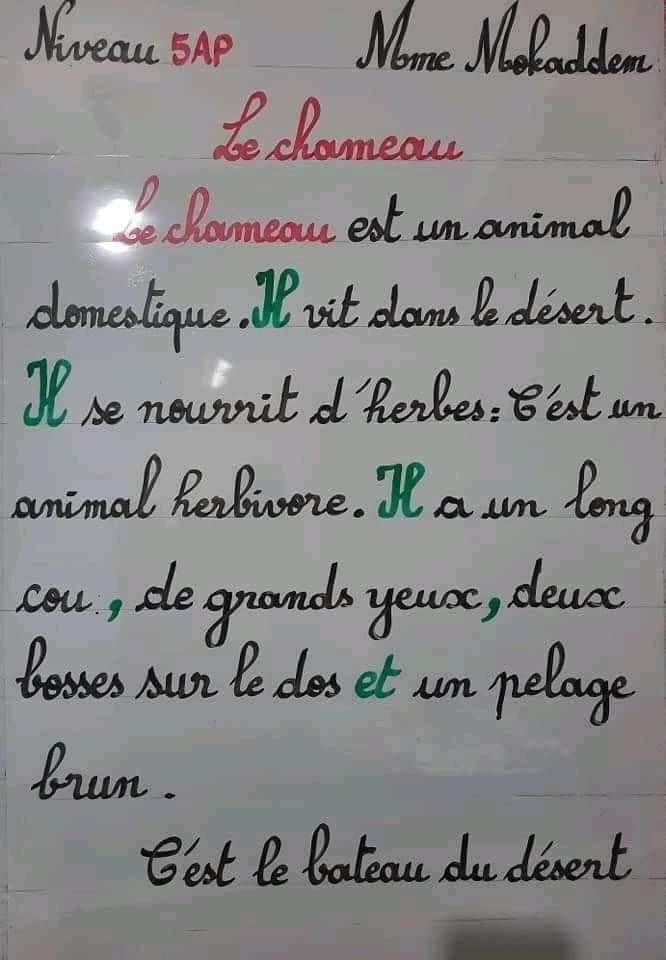 production_écrite décrire_un_animal وصف حيوان La gazelle, le cheval, le chien, l'éléphant, la girafe, le chameau, le l 4