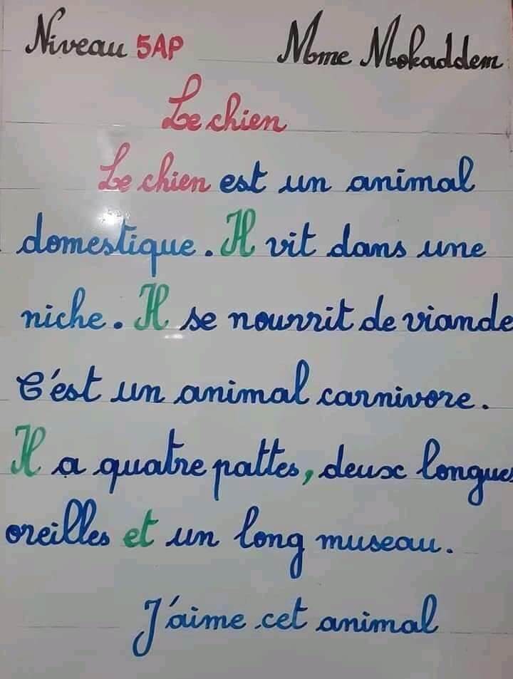 production_écrite décrire_un_animal وصف حيوان La gazelle, le cheval, le chien, l'éléphant, la girafe, le chameau, le l 10