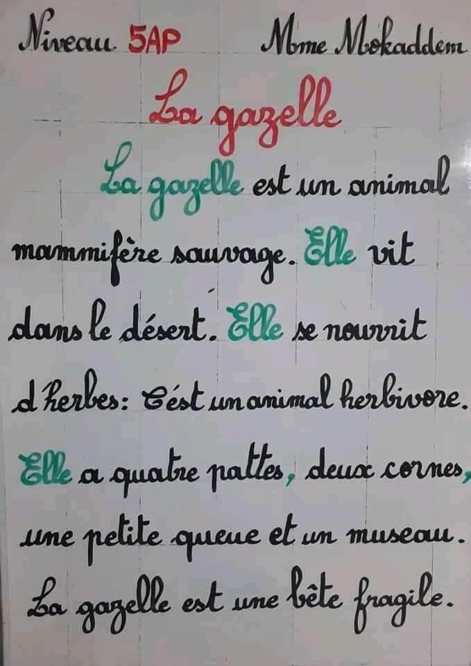 production_écrite décrire_un_animal وصف حيوان La gazelle, le cheval, le chien, l'éléphant, la girafe, le chameau, le l 8
