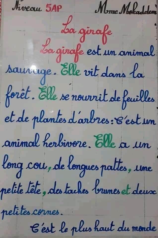 production_écrite décrire_un_animal وصف حيوان La gazelle, le cheval, le chien, l'éléphant, la girafe, le chameau, le l 6