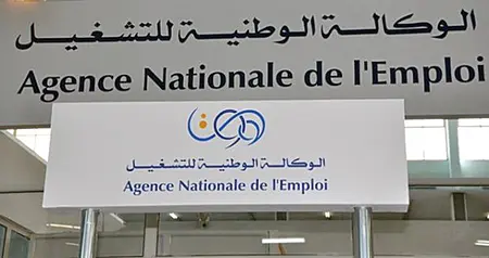 anem منحة البطالة