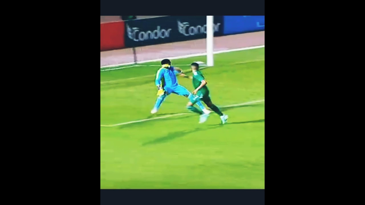 هدف رياض محرز ضد مالي