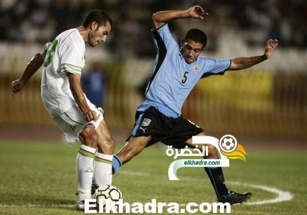 مراد مغني : ماجر قادر على إعادة المنتخب وعودة سعدان مفيدة للكرة الجزائرية
