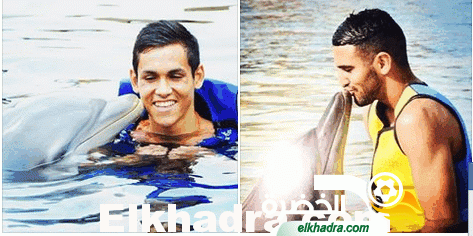 بالصور.. محرز وماندي يسبحان رفقة الدلافين في المكسيك