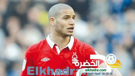 عدلان قديورة مطلوب في واتفورد و بورنموث الصاعدين جديدين إلى البريميير ليغ
