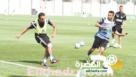 غوركوف ينقل الحصة التدريبية اليوم الى ملعب تشاكر بالبليدة بحضور الجمهور ومحبي الخضر