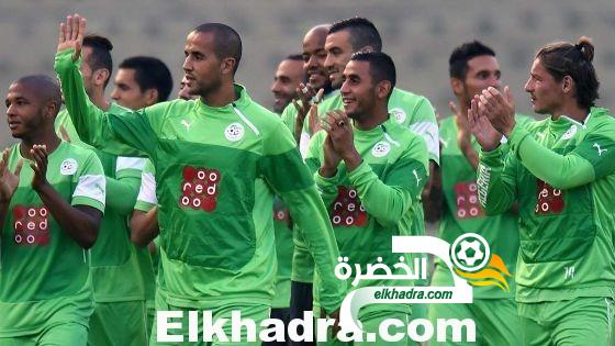 مجيد بوقرة يتجه للعمل في مجال التدريب