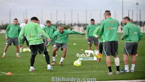 التصنيف الشهري للفيفا: الجزائر في المرتبة ال28