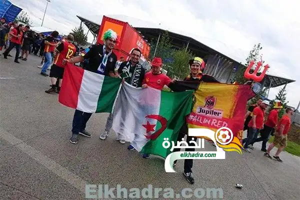 العلم الجزائري يصنع الحدث في مدرجات بطولة أمم أوروبا