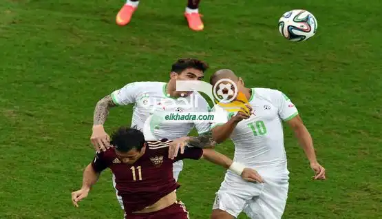 اسباب استبعاد فيغولي و مجاني عن بطولة أمم أفريقيا بالجابون 2017