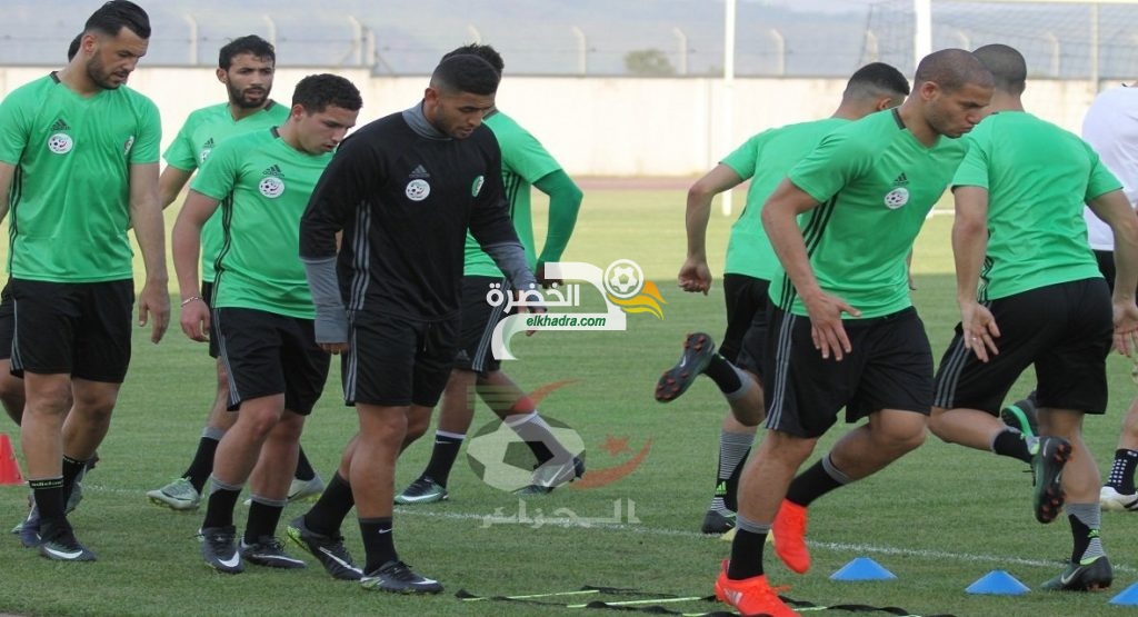 الجزائر و زيمبابوي : أصداء من الغابون قبل المباراة