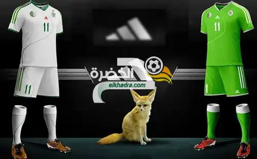 زطشي في دبي لحسم العديد من الملفات مع شركة أديداس