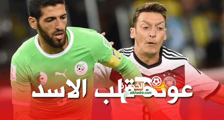 رابح ماجر يفتح باب العودة أمام رفيق حليش 4